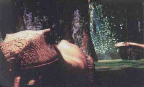 Lost Eden 02.jpg (98334 octets)